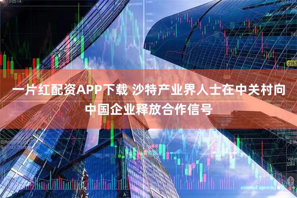 一片红配资APP下载 沙特产业界人士在中关村向中国企业释放合作信号
