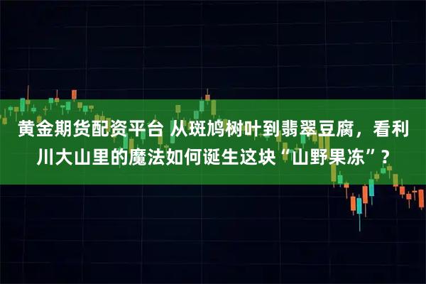 黄金期货配资平台 从斑鸠树叶到翡翠豆腐，看利川大山里的魔法如何诞生这块“山野果冻”？