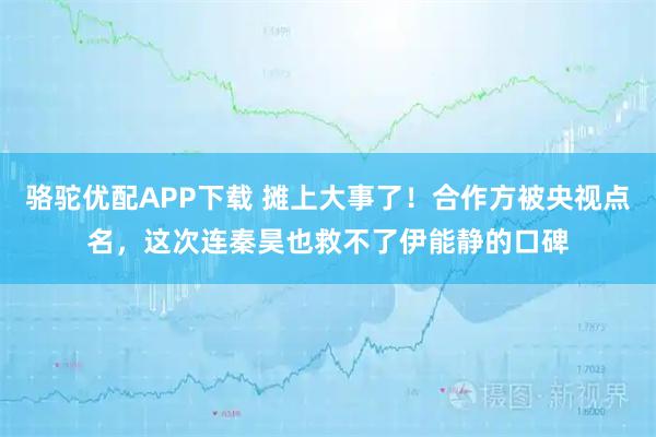 骆驼优配APP下载 摊上大事了！合作方被央视点名，这次连秦昊也救不了伊能静的口碑